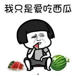 娱乐圈吃瓜表情