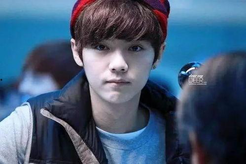 吃瓜娱乐圈陈哲远微博,娱乐圈幕后故事大揭秘