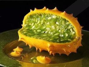 娱乐吃瓜图片图文并茂,明星幕后吃瓜瞬间，图解八卦风云