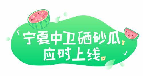 娱乐吃瓜文案去哪里找啊