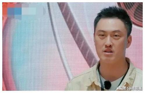 娱乐圈吃瓜爆料贾乃亮,揭秘背后的真相与争议