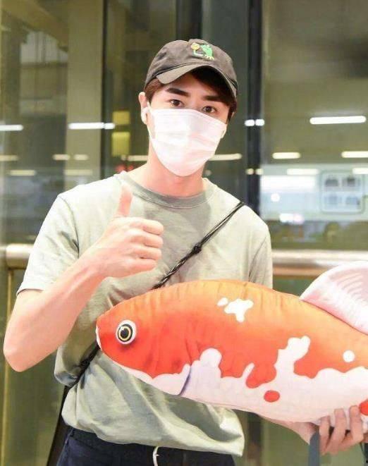 娱乐吃瓜酱养鱼